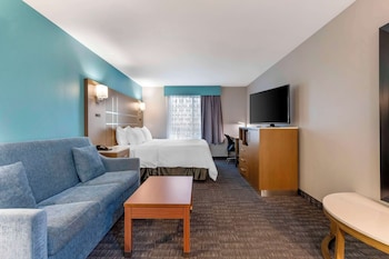 Suite, 1 King Bed, Non Smoking, Refrigerator & Microwave (with Sofabed)