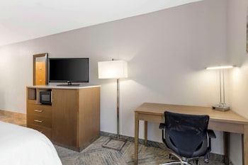 Standard Room, 1 King Bed, Accessible, Bathtub