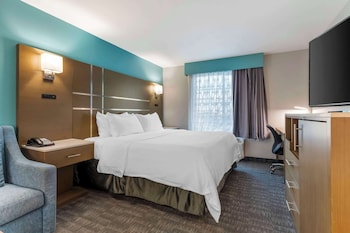 Suite, 1 King Bed, Non Smoking, Refrigerator & Microwave (with Sofabed)