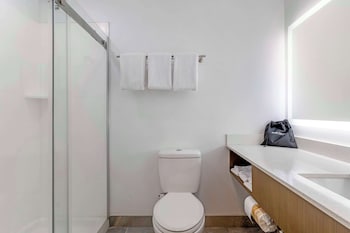 Suite, 1 King Bed, Non Smoking, Refrigerator & Microwave (with Sofabed)