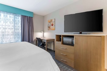 Suite, 1 King Bed, Non Smoking, Refrigerator & Microwave (with Sofabed)
