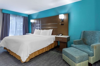 Standard Room, 1 King Bed, Non Smoking, Refrigerator & Microwave