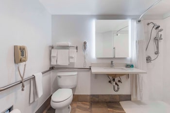 Standard Room, 1 King Bed, Accessible, Bathtub