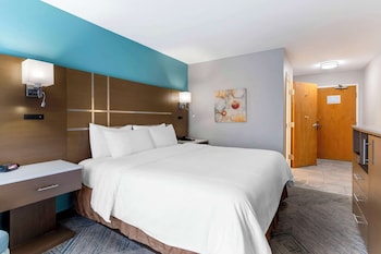 Standard Room, 1 King Bed, Accessible, Bathtub