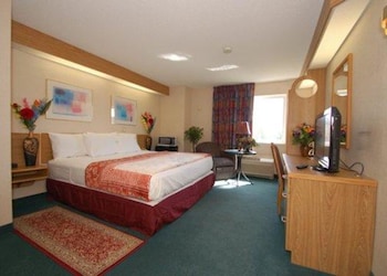 Room, 1 King Bed