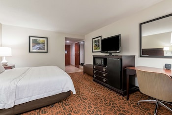 Room, 1 King Bed, Accessible
