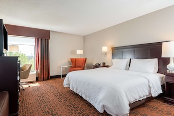 Room, 1 King Bed, Accessible