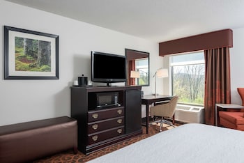 Room, 1 King Bed, Accessible