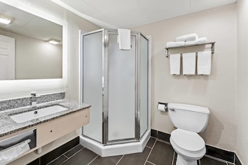 Suite, 1 King Bed, Non Smoking (Efficiency)