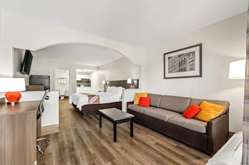 Suite, 1 King Bed, Non Smoking (Efficiency)