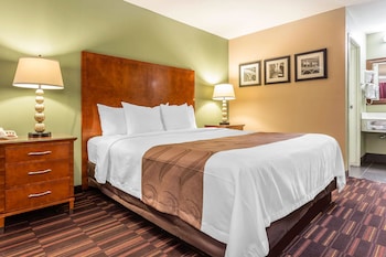 Standard Room, 1 King Bed, Non Smoking