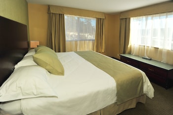 Suite, 1 King Bed with Sofa bed, Non Smoking