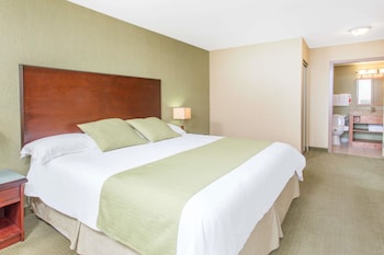 Room, 1 King Bed, Non Smoking