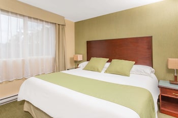 Suite, 1 King Bed with Sofa bed, Non Smoking