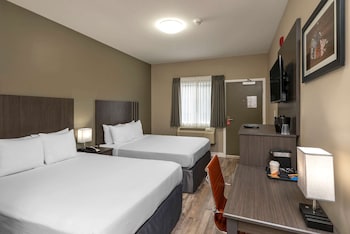 Standard Room, 2 Double Beds, Non Smoking