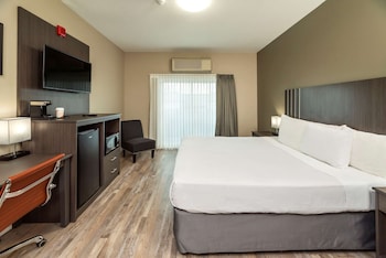 Standard Room, 1 King Bed, Non Smoking