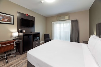 Standard Room, 1 King Bed, Non Smoking