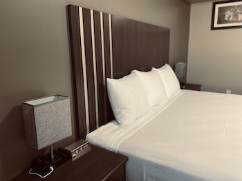 Room, 1 King Bed, Non Smoking (Efficiency, Upgrade)