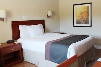 Room, 1 Queen Bed, Non Smoking