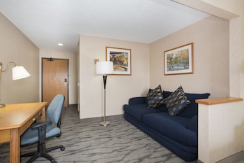 Deluxe Room, 1 King Bed, Non Smoking