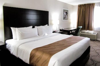 Room, 1 King Bed, Lake View