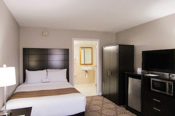 Room, 1 Double Bed, Accessible, Non Smoking