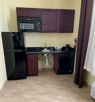 Suite, 1 King Bed, Non Smoking, Kitchenette (with Sofabed)