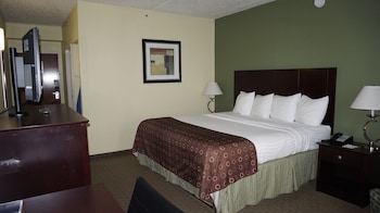 Standard Room, 1 King Bed, Accessible, Non Smoking