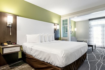 Room, 1 King Bed with Sofa bed, Accessible, Non Smoking