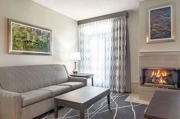 Suite, 1 King Bed with Sofa bed, Accessible, Non Smoking