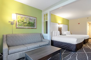 Room, Multiple Beds, Accessible, Non Smoking