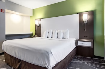 Room, 1 King Bed with Sofa bed, Accessible, Non Smoking