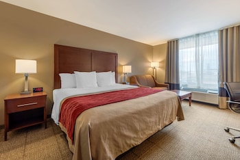 Standard Room, 1 King Bed, Non Smoking