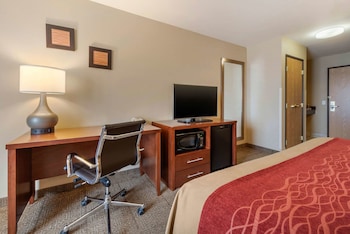 Standard Room, 1 King Bed, Non Smoking