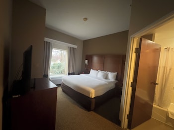 Suite, Multiple Beds, Non Smoking (Efficiency)
