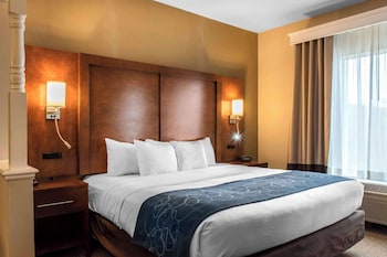 Suite, 1 King Bed with Sofa bed, Accessible, Non Smoking