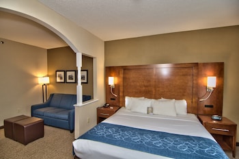 Suite, 1 King Bed with Sofa bed, Accessible, Non Smoking