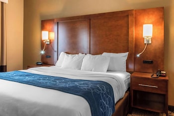 Suite, 1 King Bed with Sofa bed, Accessible, Non Smoking