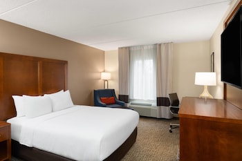 Room, 1 Queen Bed, Accessible, Non Smoking (Mob,Roll-In Shower)