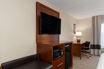 Room, 1 King Bed, Non Smoking (Shower Only)