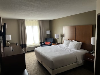 Room, 1 King Bed, Non Smoking (Shower Only)