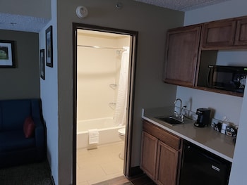 Deluxe Studio Suite, 1 King Bed, Non Smoking