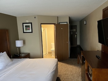 Room, 1 King Bed, Non Smoking (Shower Only)