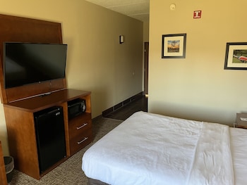 Room, 1 Queen Bed, Accessible, Non Smoking (Mob,Tub w/Grab Bars)
