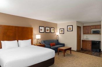 Deluxe Studio Suite, 1 King Bed, Non Smoking