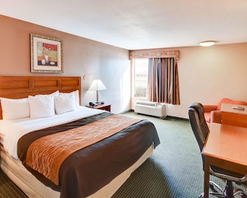 Standard Room, 1 King Bed, Non Smoking