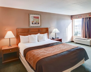 Standard Room, 1 King Bed, Non Smoking