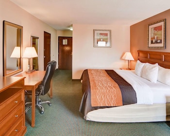 Standard Room, 1 King Bed, Non Smoking