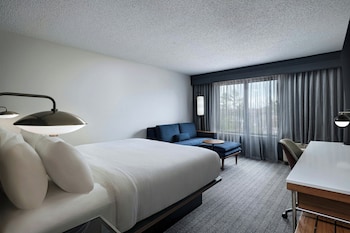 Room, 1 King Bed with Sofa bed (Mobility/Hearing Access, Roll-In Shwr)