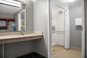 Room, 1 King Bed with Sofa bed, Roll-in Shower